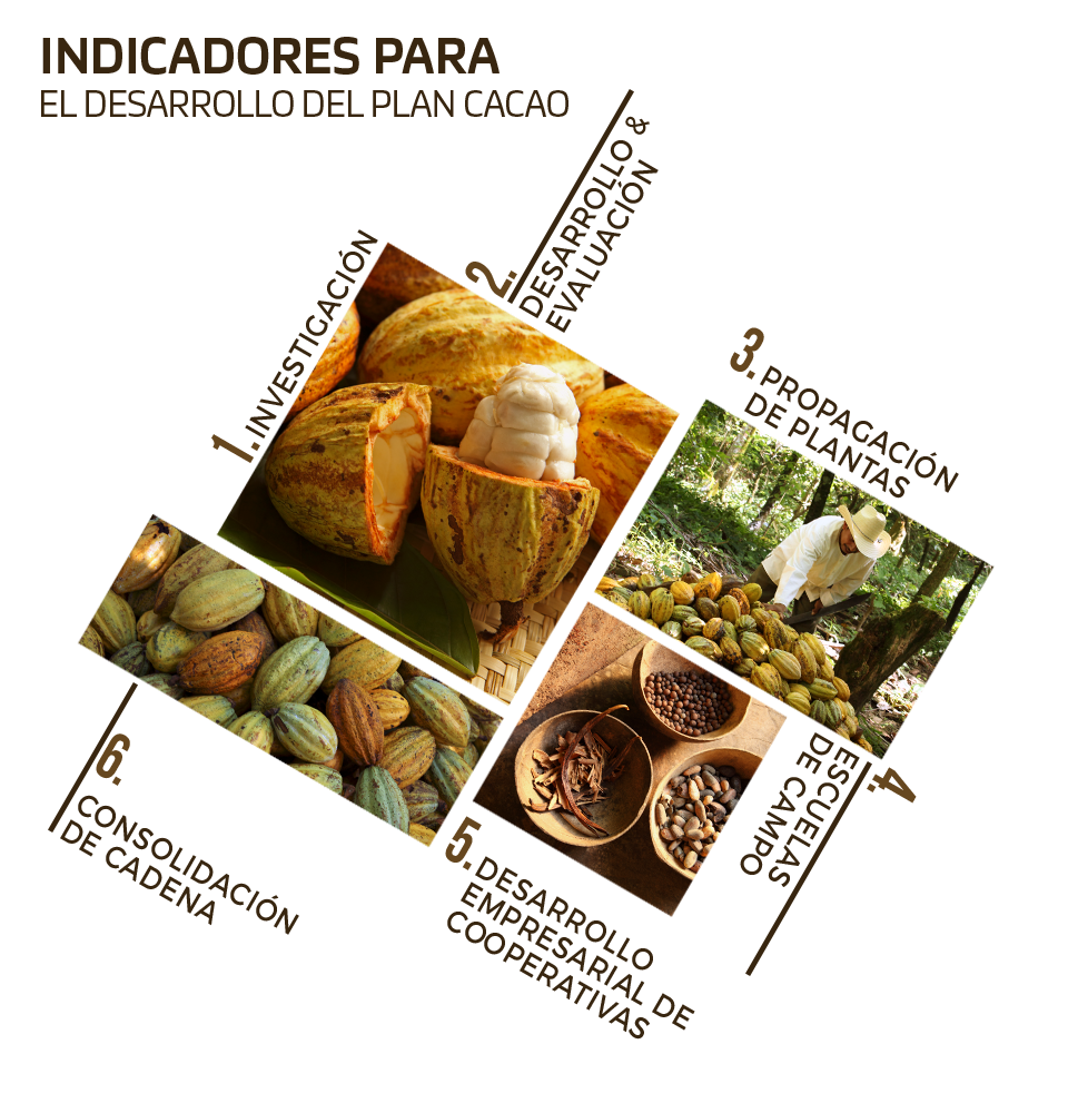 Gráfica con los indicadores para el desarrollo del Plan Cacao NESTLÉ®