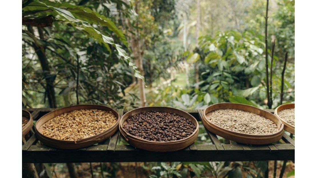 Productos de calidad como granos y legumbre