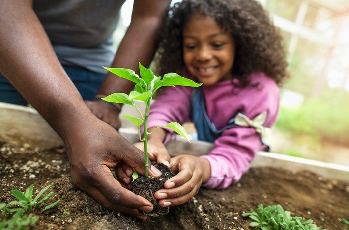 Niña plantando una planta junto a su padre como acción de responsabilidad ambiental