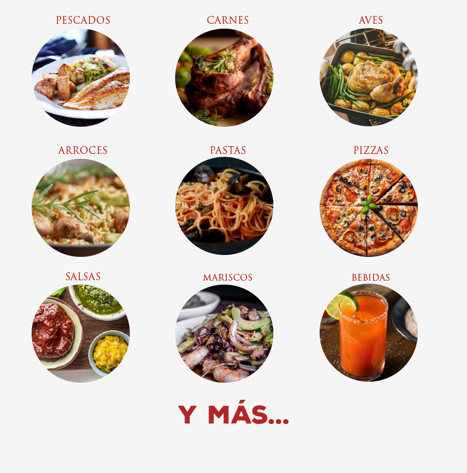 Variedad de recetas destacando los usos de la Salta teriyaki de MINOR'S®