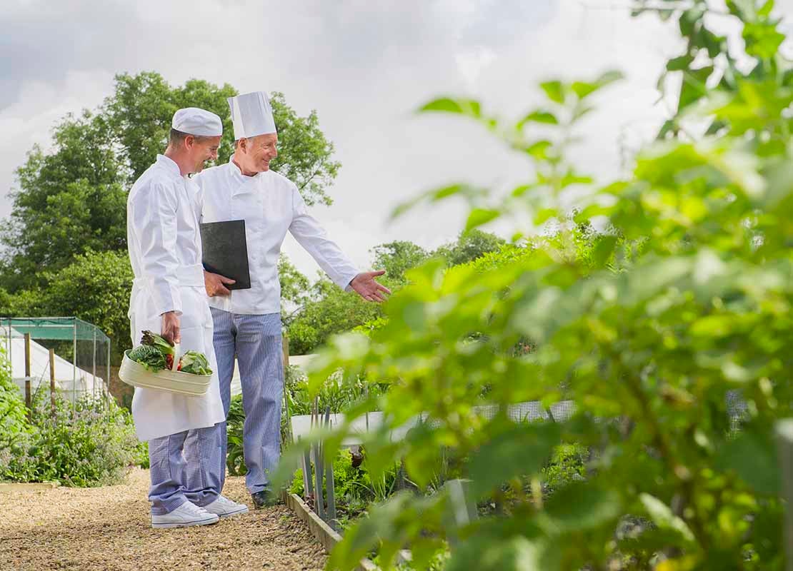 Dos cocineros recogiendo verduras en un huerto con abundantes plantas