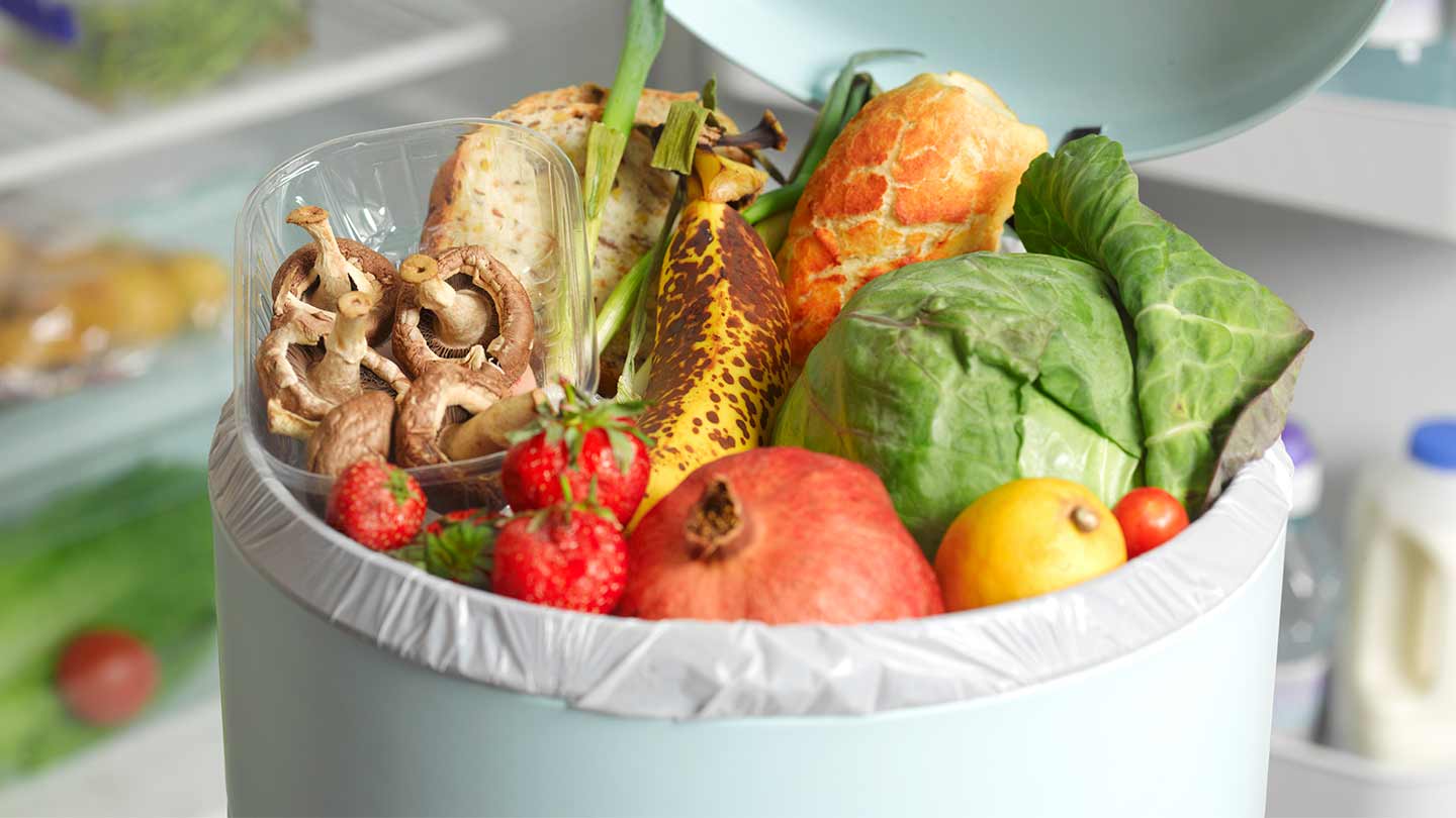 Basurero abierto lleno de frutas y verduras en buen estado, representando el desperdicio de alimentos