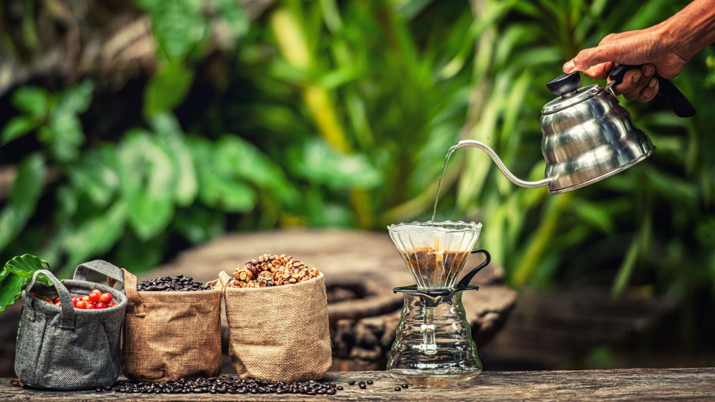 Preparación de café filtrado al aire libre, junto a granos en distintas etapas de procesamiento.