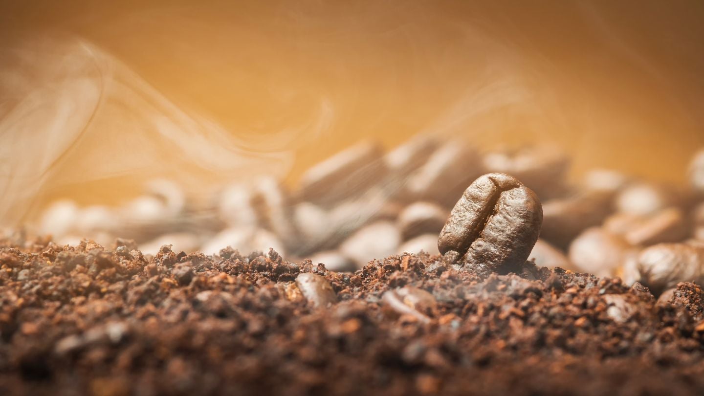 Granos de café y soluble suspendidos en el aire en movimiento sobre fondo oscuro
