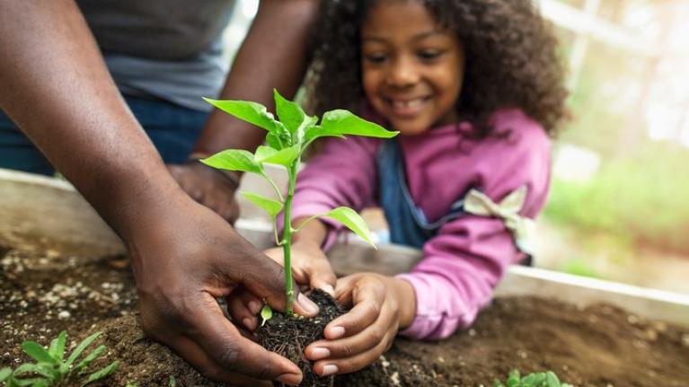 Niña plantando una planta junto a su padre como acción de responsabilidad ambiental