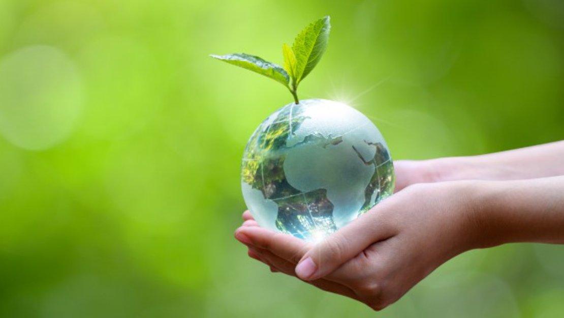 Representación de la responsabilidad ambiental