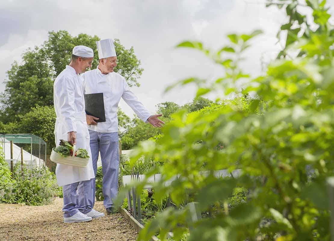 Dos cocineros recogiendo verduras en un huerto con abundantes plantas