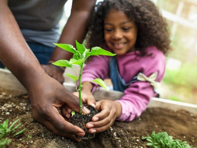 Niña plantando una planta junto a su padre como acción de responsabilidad ambiental