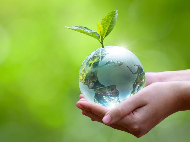 Manos de mujer sosteniendo una planta verde en el planeta tierra como gota de agua