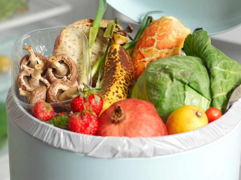 Basurero abierto lleno de frutas y verduras en buen estado, representando el desperdicio de alimentos