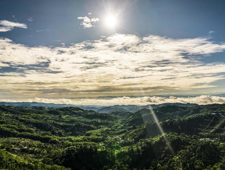 Panorámica de cielo y montañas cultivadas de café