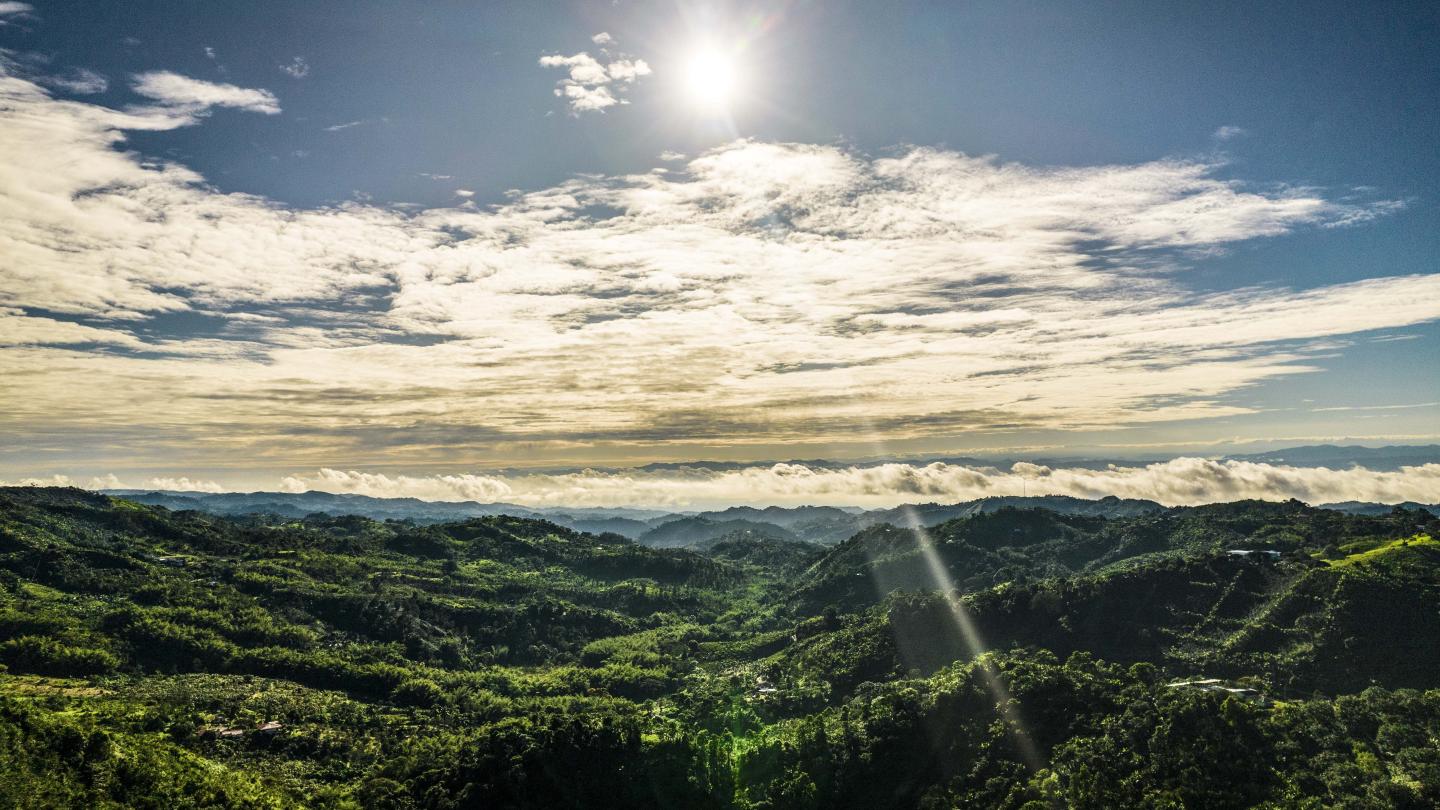 Panorámica de cielo y montañas cultivadas de café