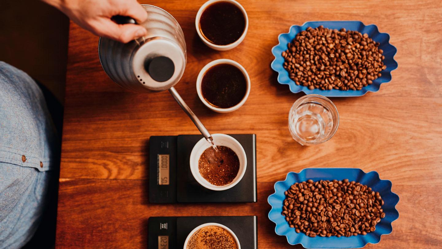 Programa Nestlé Jóvenes Baristas