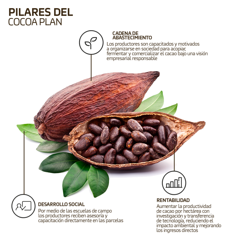 Gráfica de una semilla de cacao abierta con información de los pilares del Cocoa Plan NESTLÉ®