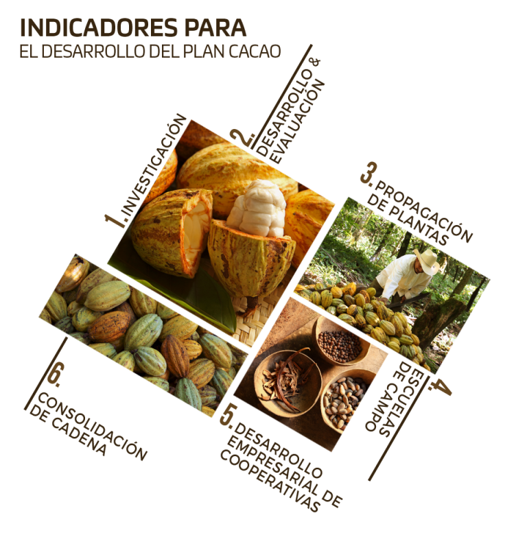 Gráfica con los indicadores para el desarrollo del Plan Cacao NESTLÉ®