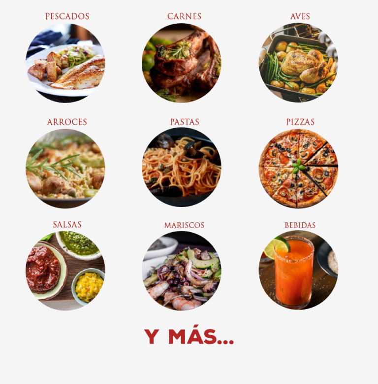 Variedad de recetas destacando los usos de la Salta teriyaki de MINOR'S®